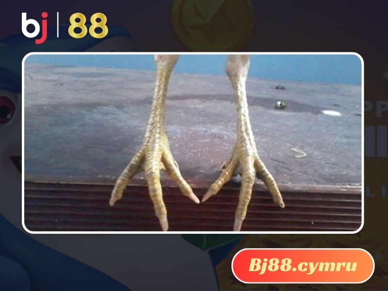 Khô chân ở gà trưởng thành rất nguy hiểm