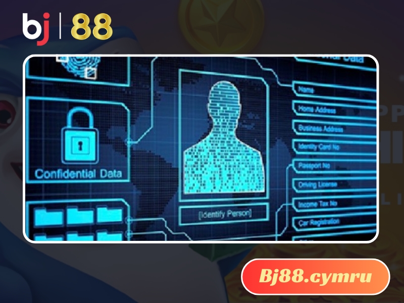 Dữ liệu của thành viên được thu thập với đa dạng hình thức