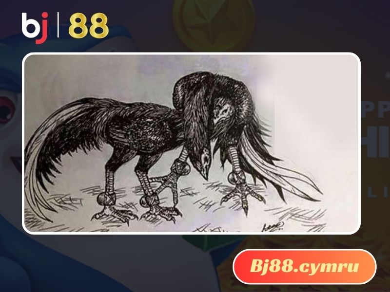 Thế gà đá cưa đè 2 mang