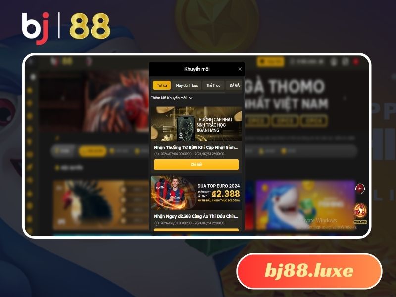 Khuyến mãi hấp dẫn được tổ chức thường xuyên