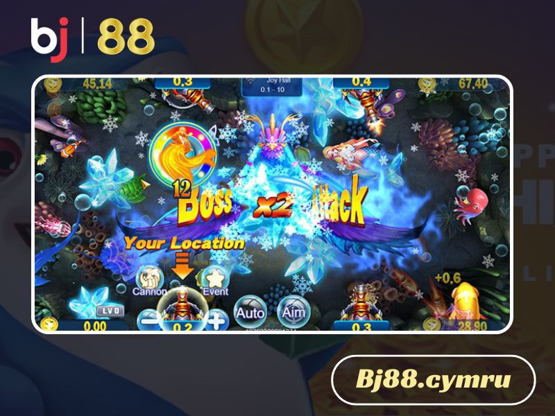 Cách săn cá chuẩn chỉnh nhanh thu về lợi nhuận