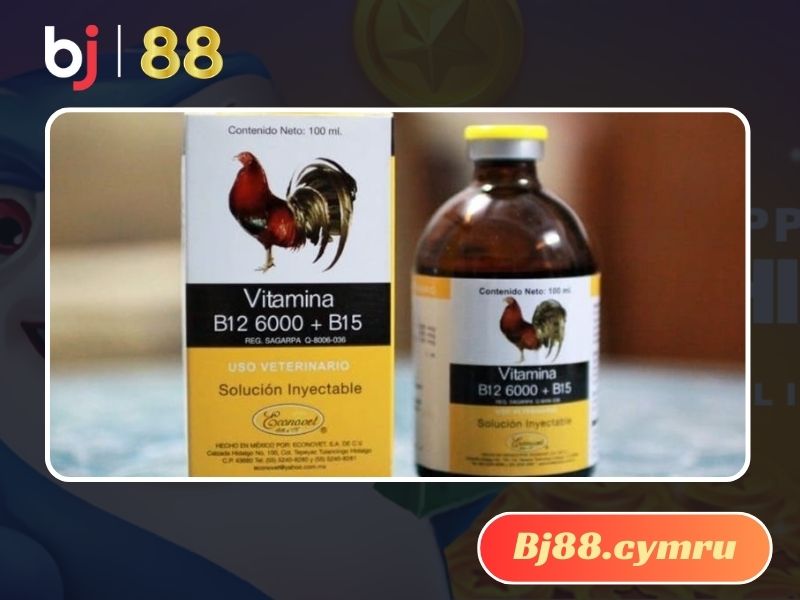 Thuốc B12 6000 giúp quá trình lưu thông máu diễn ra tốt hơn