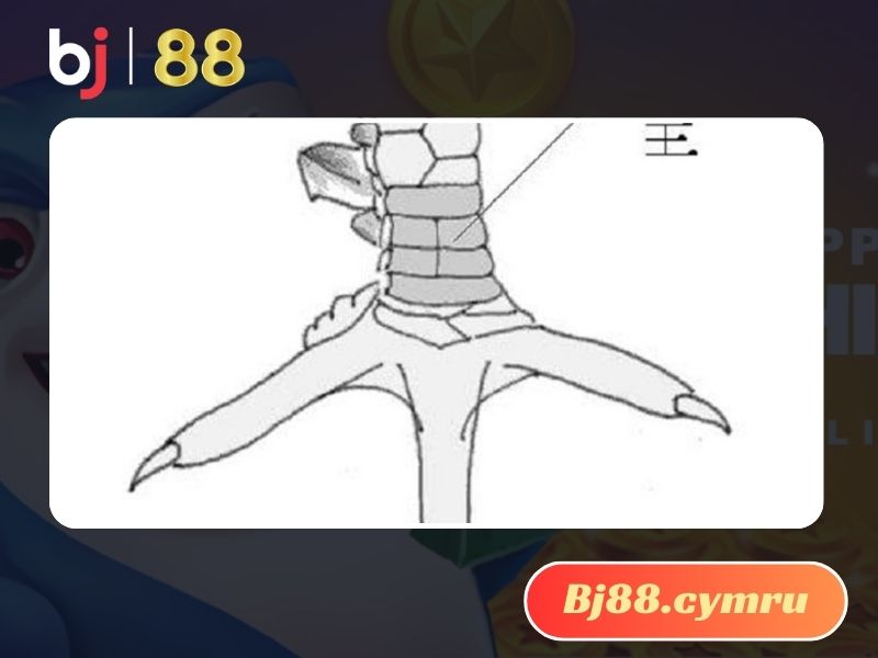 Vảy Khai vương là vảy gà chọi độc được nhiêu sư kê tìm kiếm