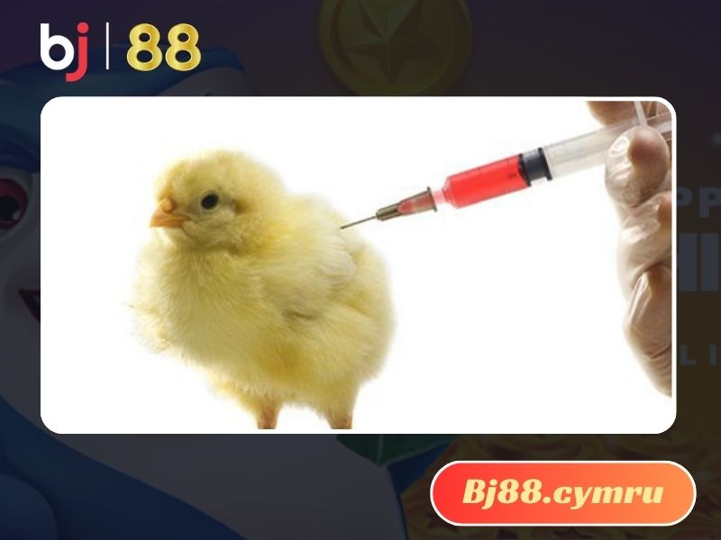 Vacxin Lasota giúp bảo vệ sức khỏe cho gà tốt nhất